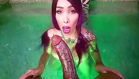 Long and fat sex in a hairy pussy with a long cock